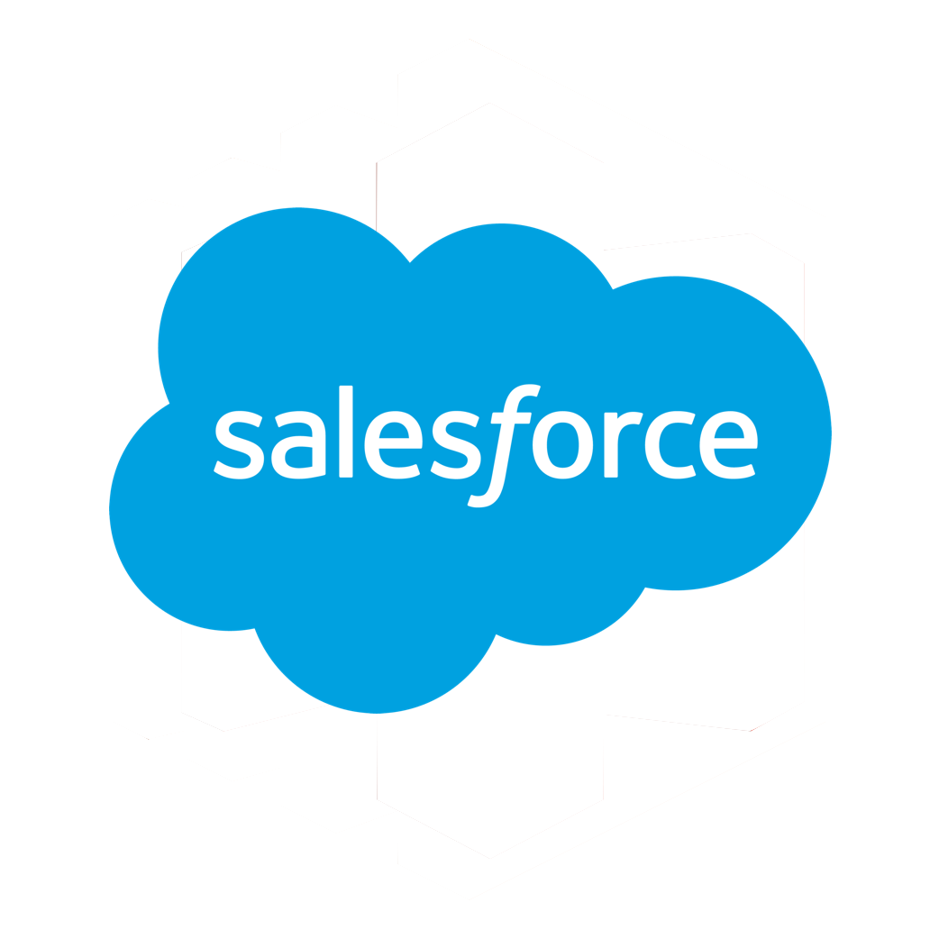 Salesforce Icon